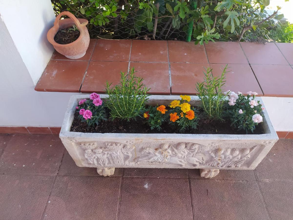 Villa Frasquita Priego de Córdoba Εξωτερικό φωτογραφία
